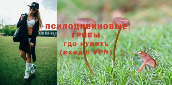 крисы Абдулино