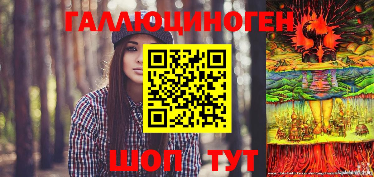 Галлюциногенные грибы MAGIC MUSHROOMS  магазин продажи наркотиков  Вход с VPN  Черногорск  Галлюциногенные грибы прущие грибы 